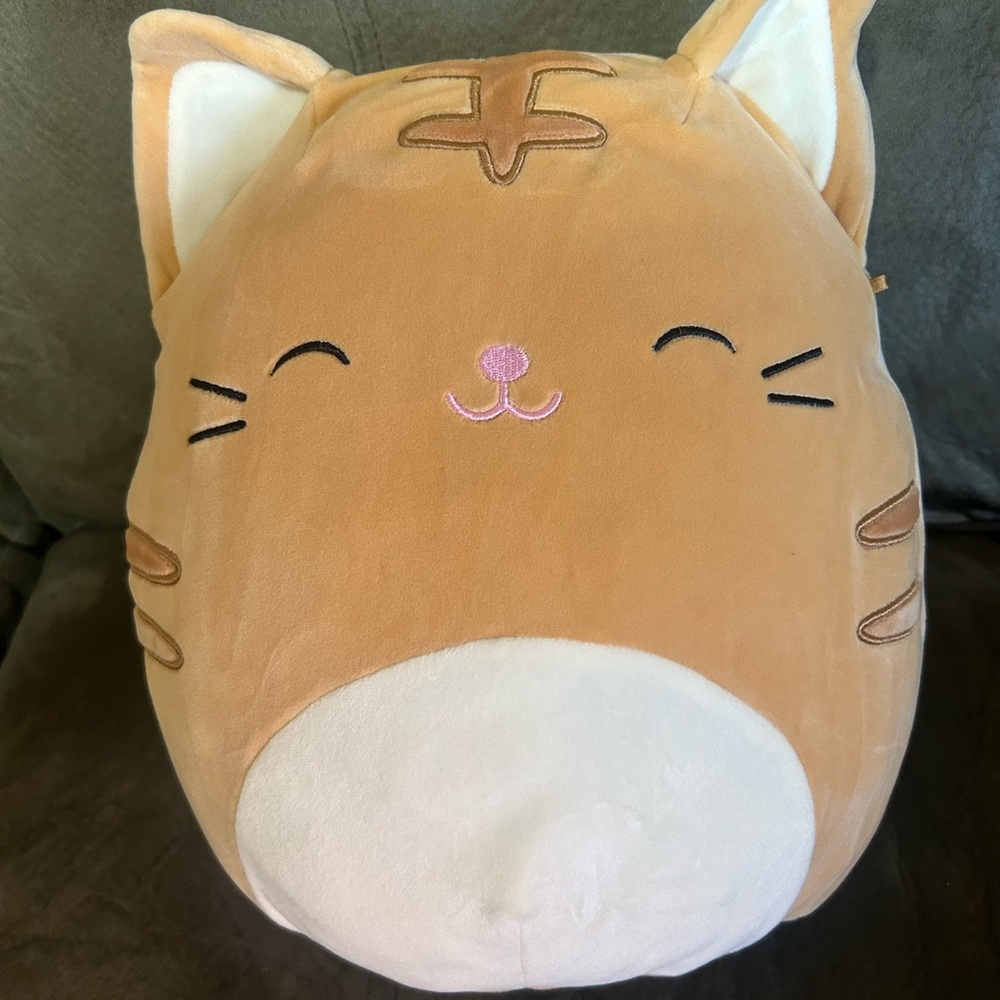 NWOT NATHAN 11” SQUISHMALLOW Tan and White Cat